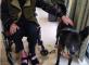 MEDIATION CANINE  Résidence Marius Lacrouze Charnay-Lès-Mâcon